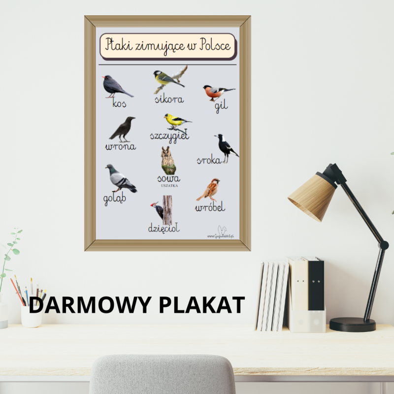 Plakat " Ptaki zimujące w Polsce"